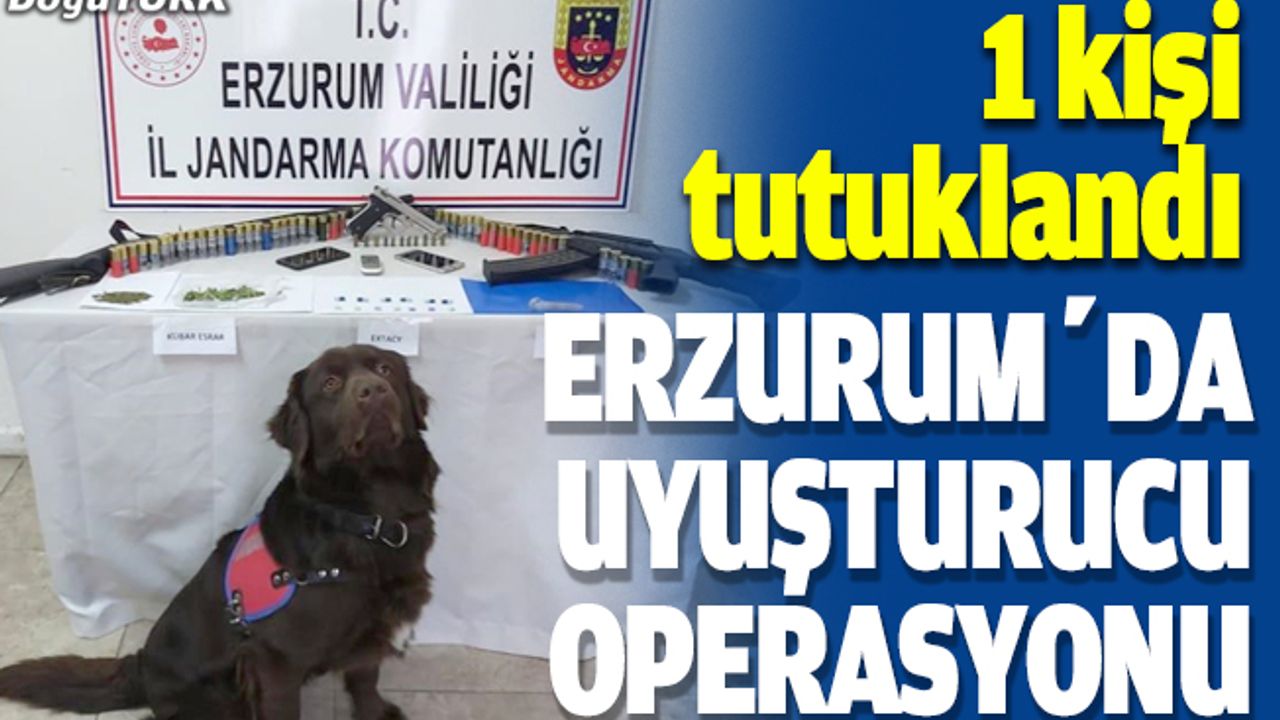 Erzurum'daki uyuşturucu operasyonunda bir kişi tutuklandı
