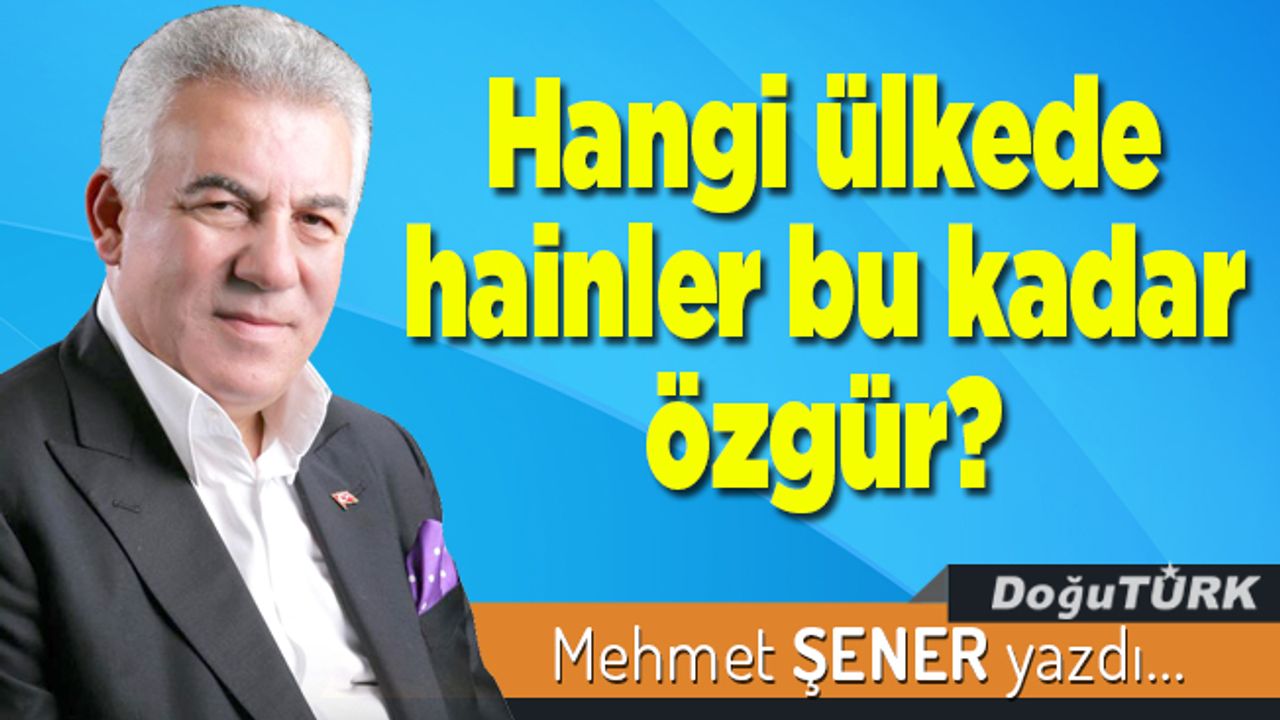 Hangi ülkede hainler bu kadar özgür?