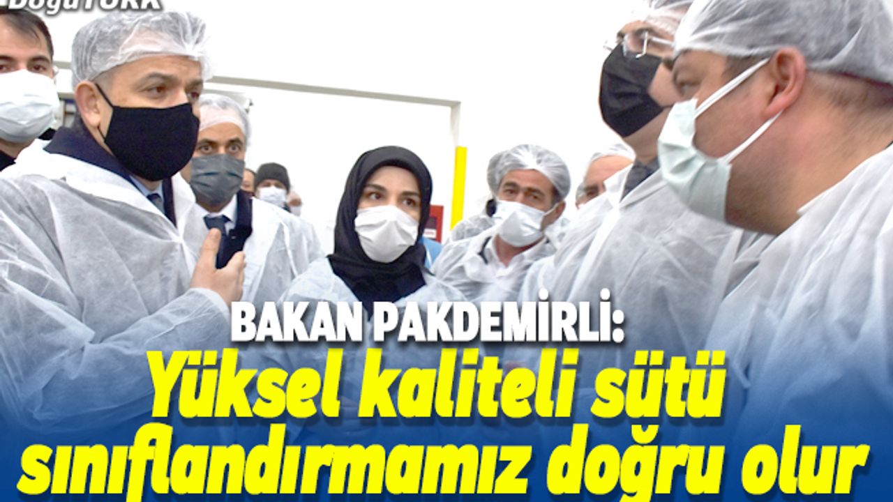 Pakdemirli'den sütte sınıflandırmayla ilgili değerlendirme...