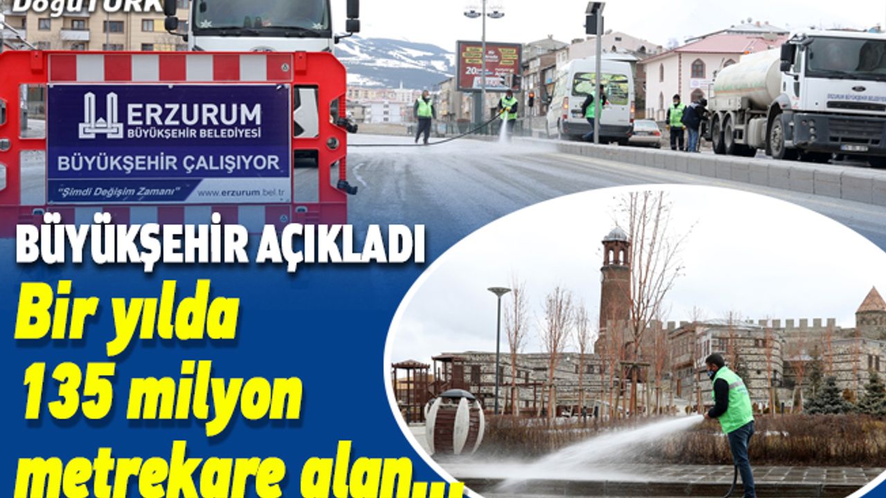 Bir yılda 135 milyon metrekare alan dezenfekte edildi