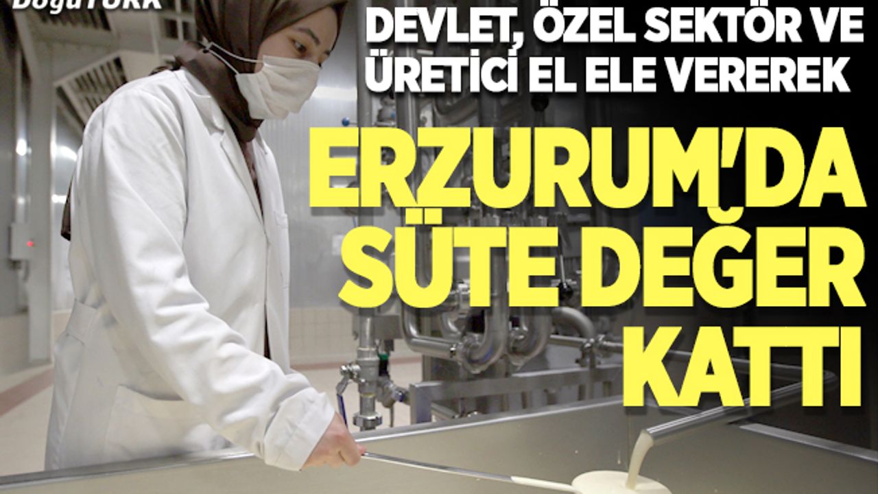 Devlet, özel sektör ve üretici el ele vererek Erzurum'da süte değer kattı