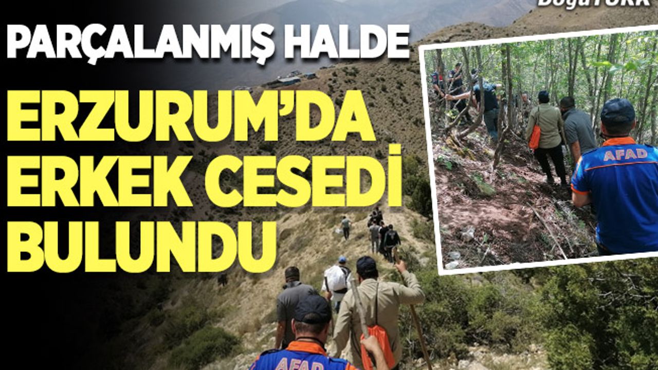 Erzurum'da dağlık arazide erkek cesedi bulundu