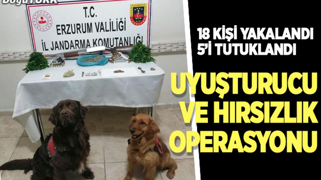 Erzurum'da uyuşturucu ve hırsızlık operasyonu