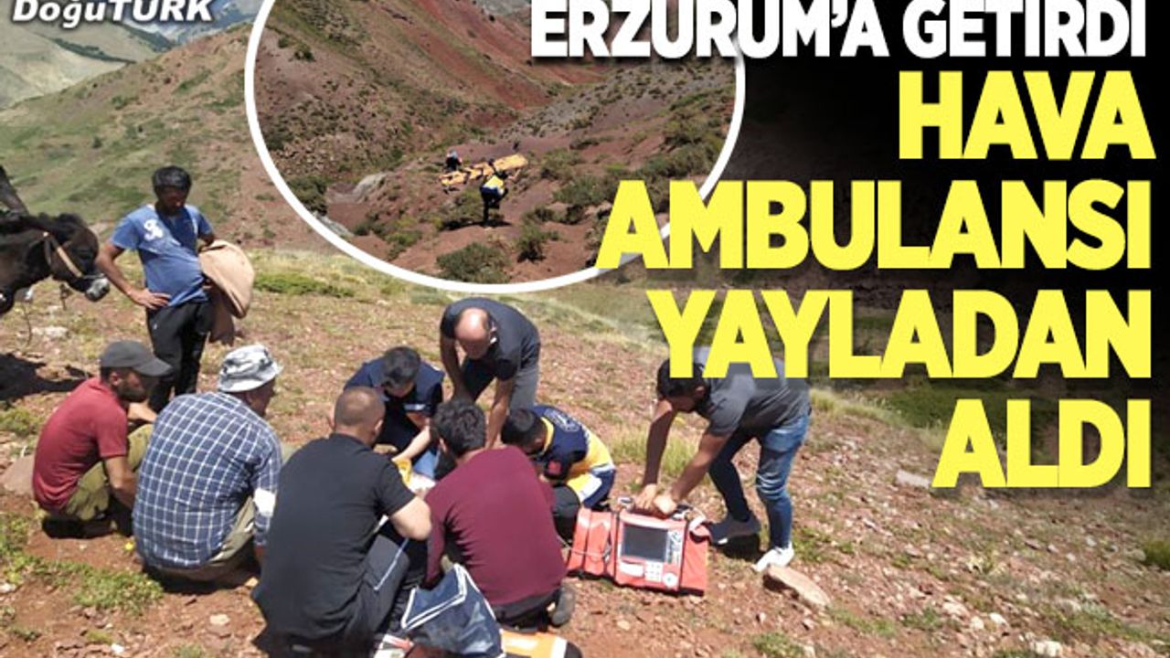 Hava ambulansı yayladan aldı, Erzurum’a getirdi
