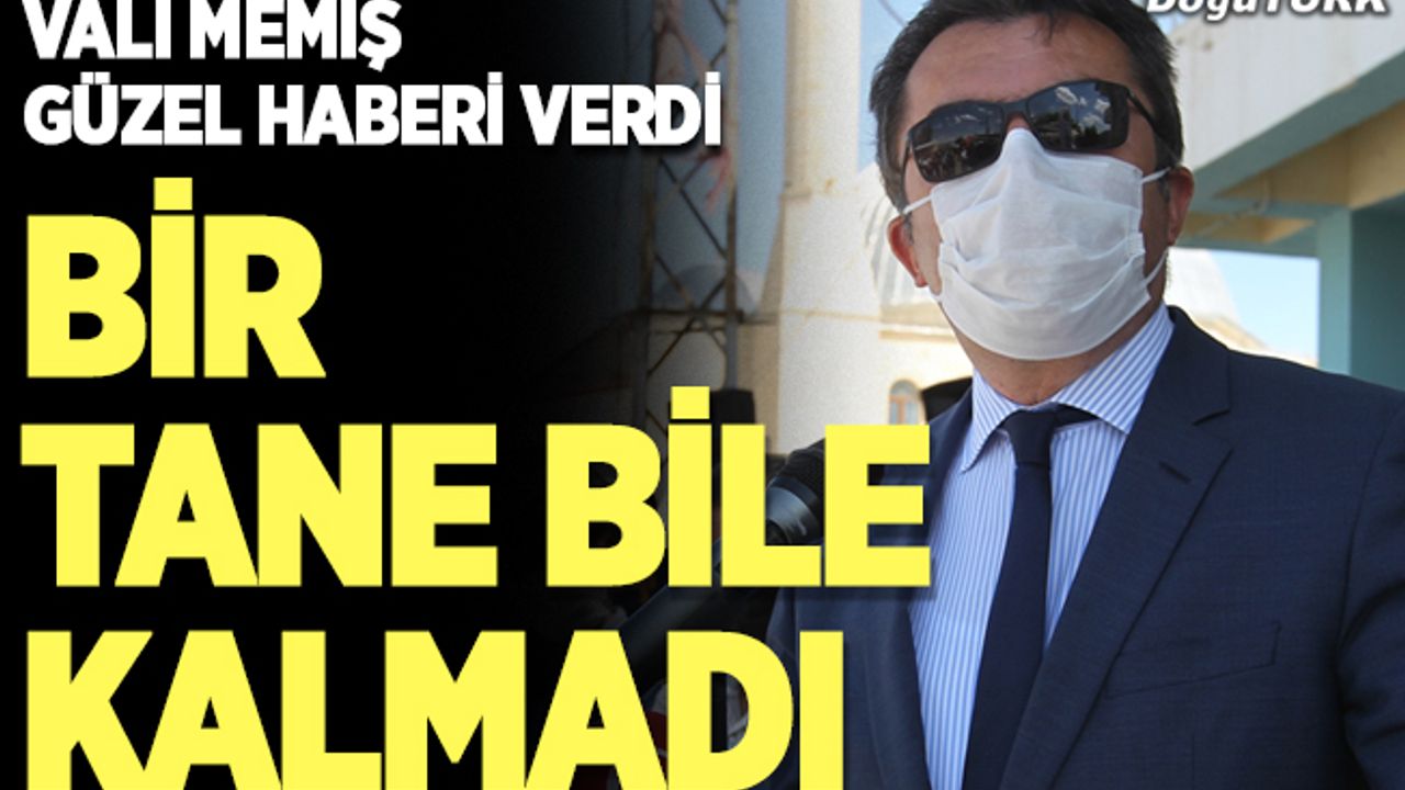 Vali Memiş: Bir tane bile kalmadı