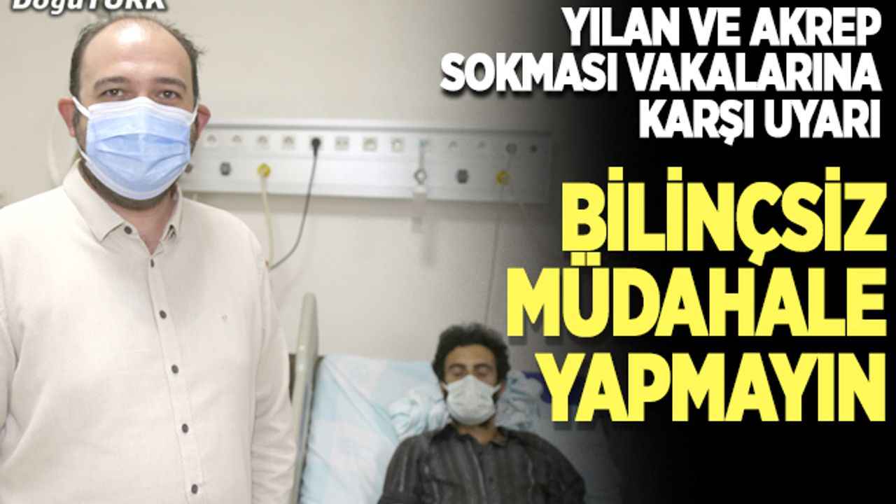 Yılan ve akrep sokması vakalarına "bilinçsiz müdahale yapmayın" uyarısı