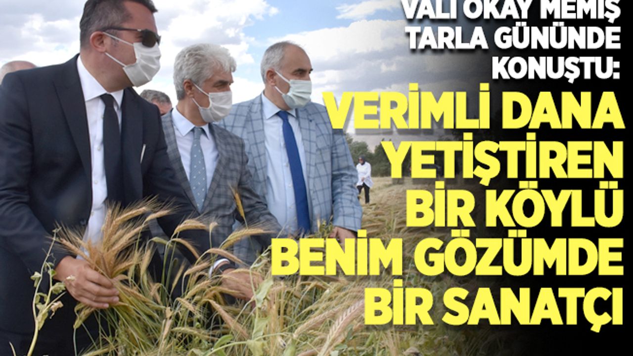 Vali Memiş: Verimli dana yetiştiren bir köylü benim gözümde bir sanatçı