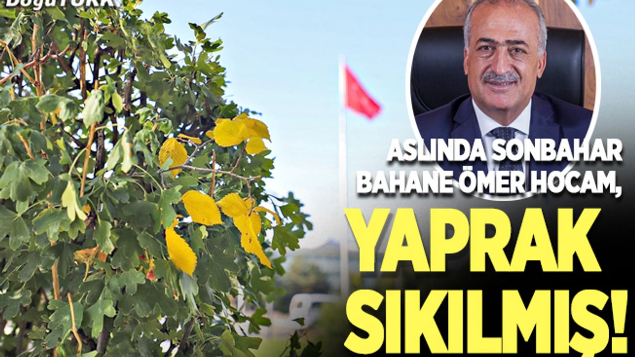 Aslında Sonbahar bahane Ömer hocam, yaprak sıkılmış!