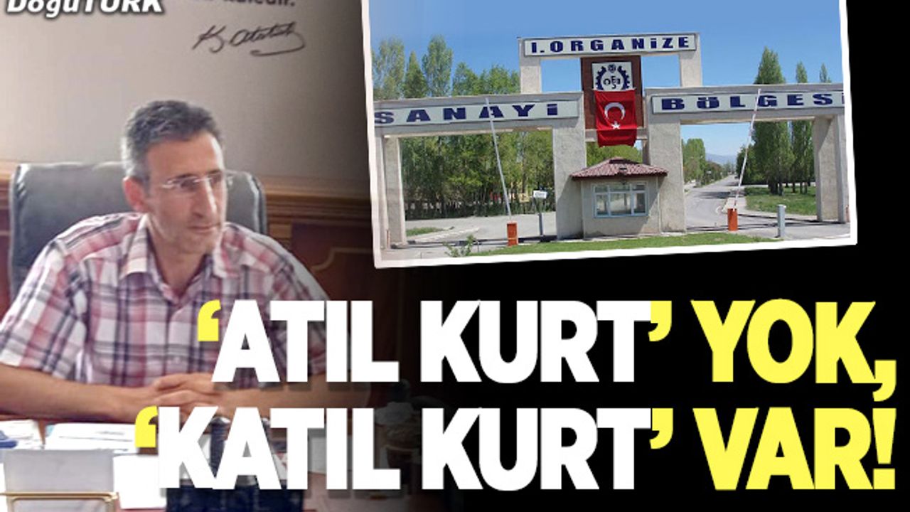 ‘Atıl kurt’ yok, ‘katıl kurt’ var!