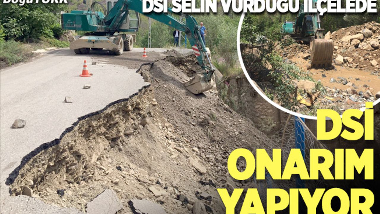 DSİ ilçelerde selin tahribatını onarıyor