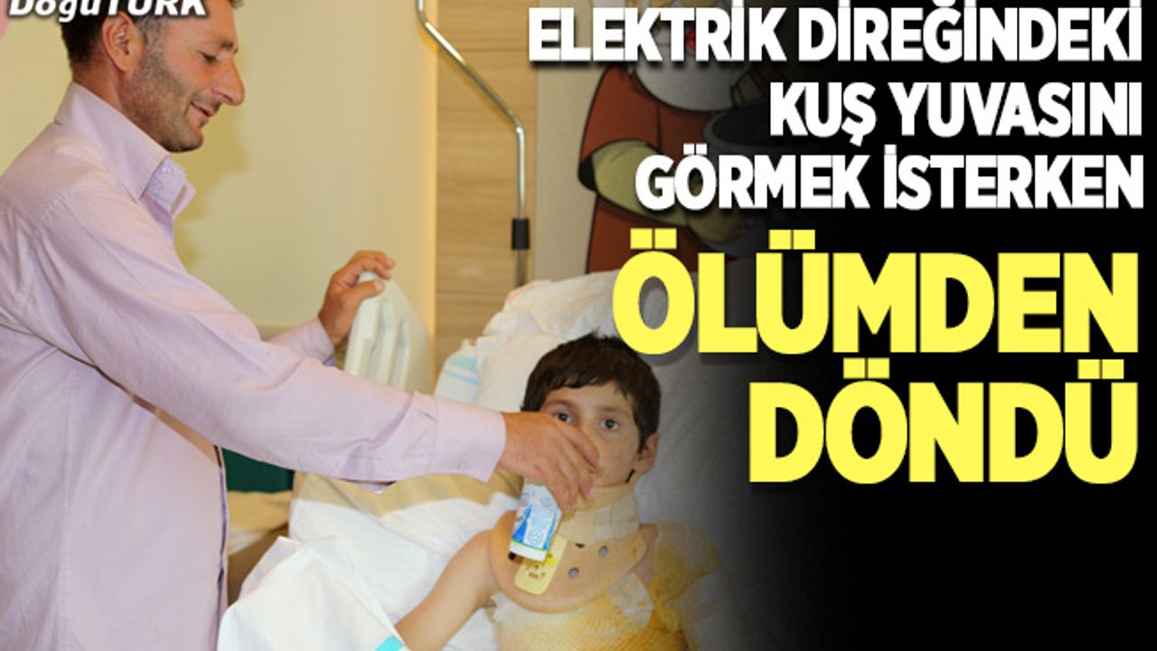 Elektrik direğindeki kuş yuvasını görmek isterken canından oluyordu