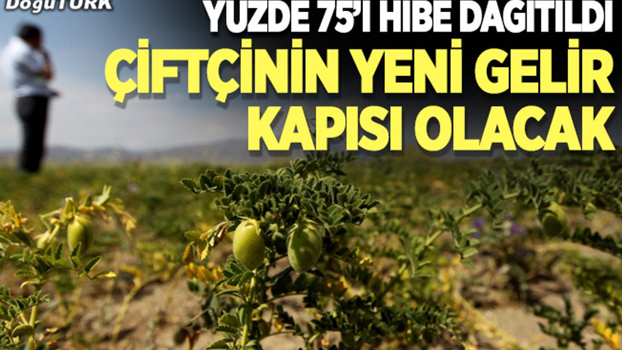 Erzurum çiftçisinin yeni gelir kapısı olacak