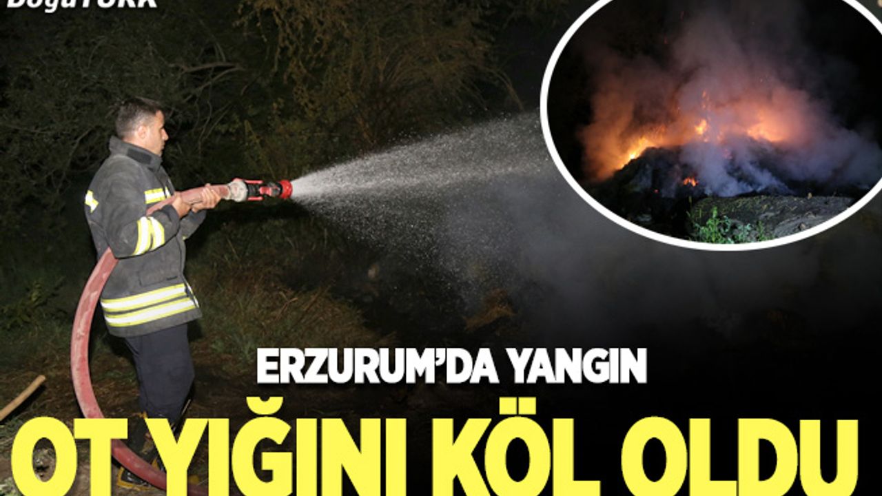 Erzurum’da yangın; Ot yığını kül oldu