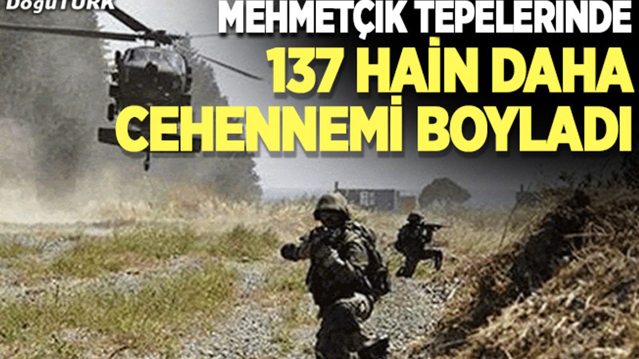 Mehmetçik tepelerinde; Hainler nefes alamıyor
