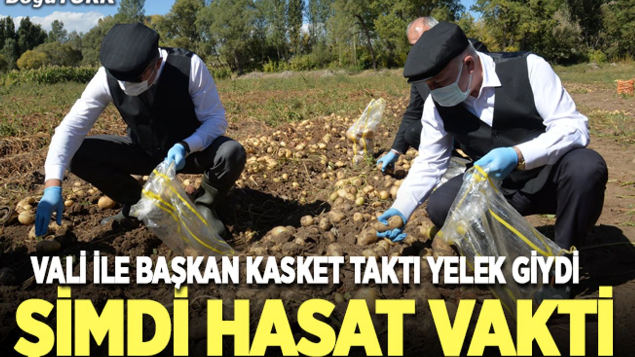 Vali ve Başkan kasket taktı, hasat yaptı