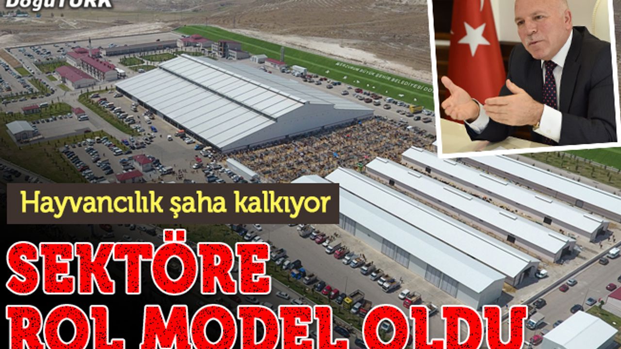 Doğu’nun incisi hayvan borsası sektörde rol modeli oldu