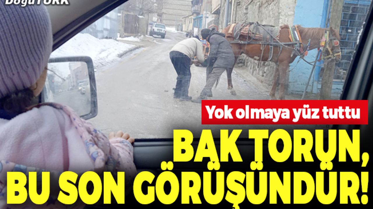Bak torun, bu son görüşündür!