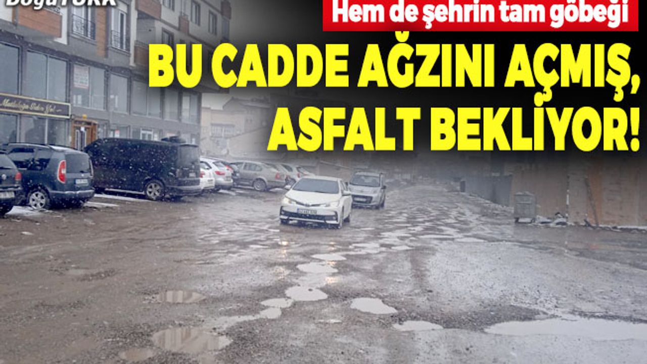 Bu cadde ağzını açmış, asfalt bekliyor!