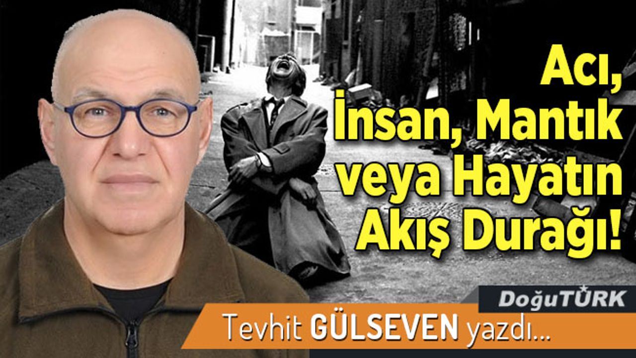 Acı, İnsan, Mantık veya Hayatın Akış Durağı!