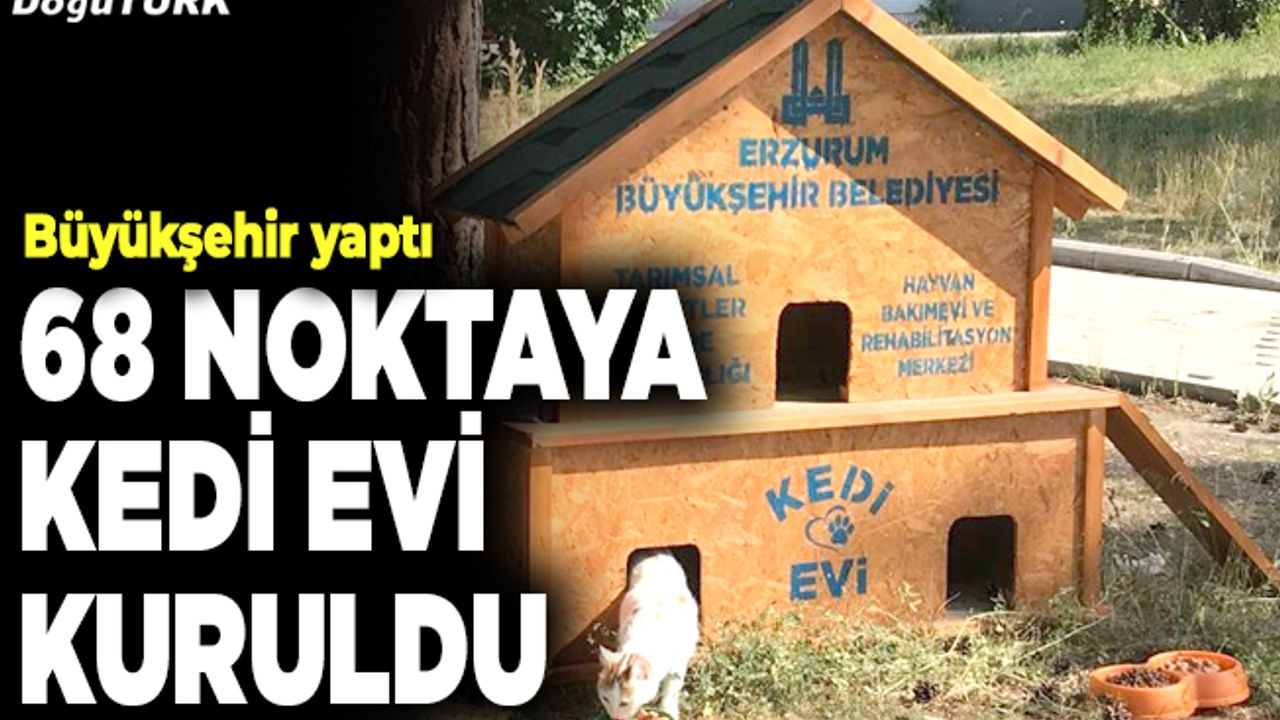 Büyükşehir 68 noktaya kedi evi kurdu