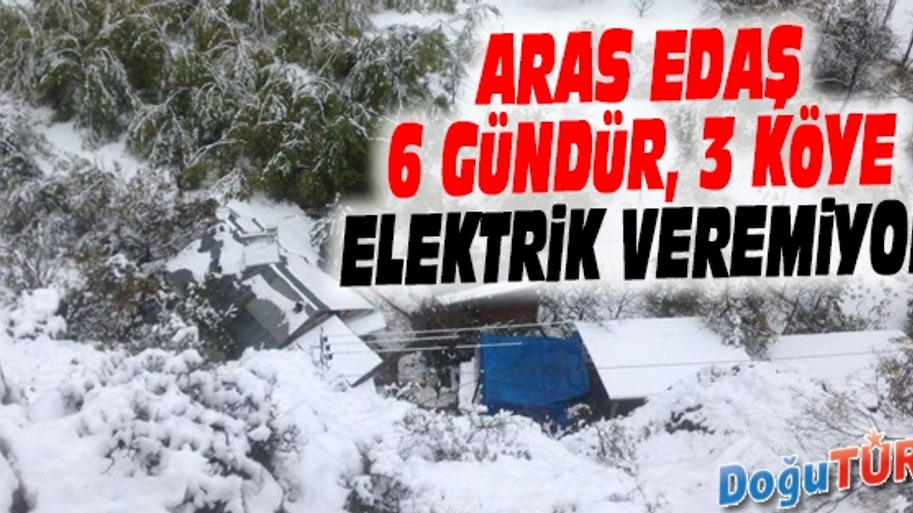 ARAS EDAŞ NE İŞ YAPAR? 6 GÜNDÜR ELEKTRİKSİZ KÖYLER VAR