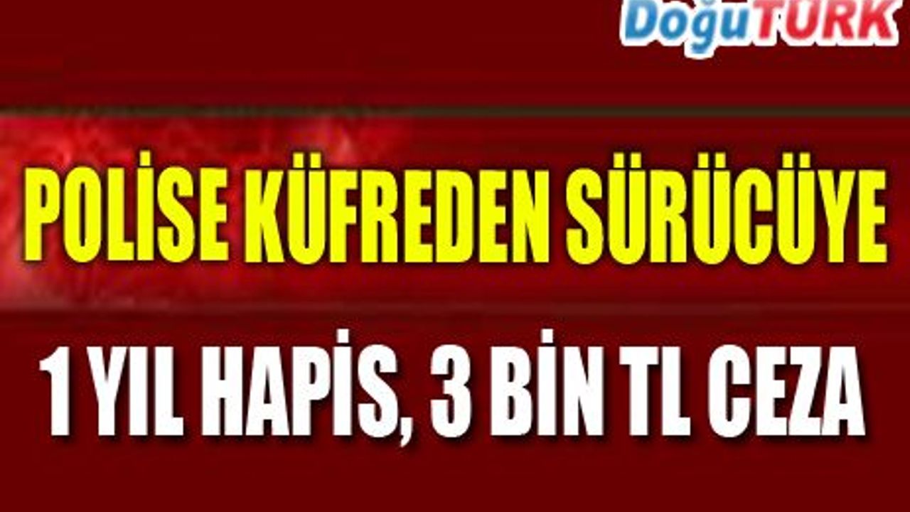 POLİSE KÜFREDEN KAMYON SÜRÜCÜSÜNE 1 YIL HAPİS, 3 BİN TL ADLİ PARA CEZASI 