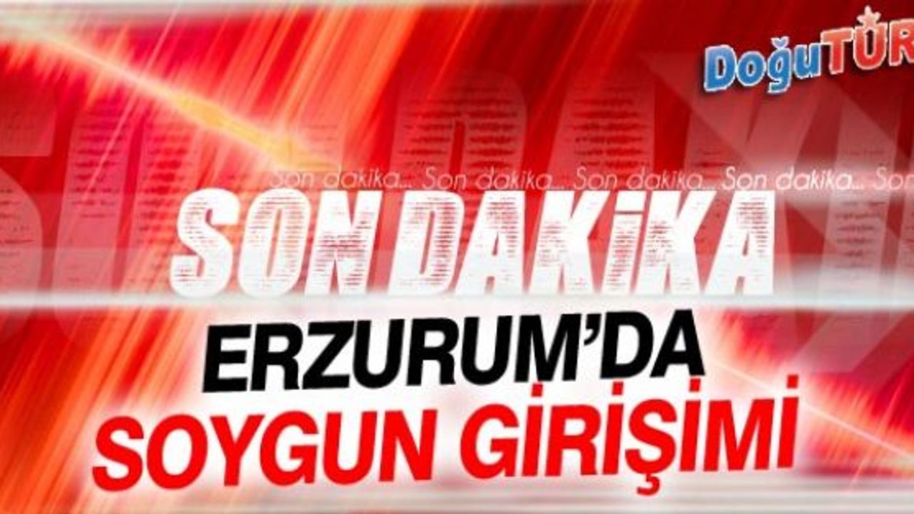 SOYGUNU, HIRSIZIN YÜZÜNE BİBER GAZI SIKAN VEZNE MEMURU ENGELLEDİ