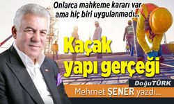 Kaçak yapı gerçeği