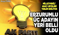 AK Parti'nin milletvekili aday listesi belli oldu