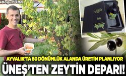 Üneş’ten zeytin deparı!