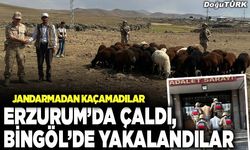 Erzurum’da çaldı, Bingöl’de yakalandılar