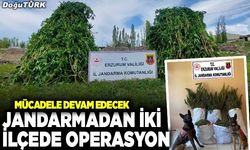 Jandarmadan iki ilçede operasyon