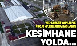Kesimhane yolda...