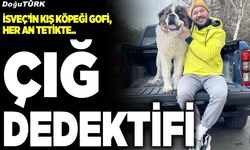 Çığ dedektifi...