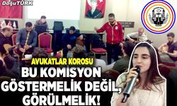 Bu komisyon göstermelik değil, görülmelik!