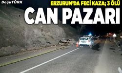 Erzurum’da feci kaza; 3 ölü, 2 yaralı