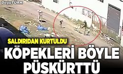 Karate hareketleri ile köpek saldırısından kurtuldu