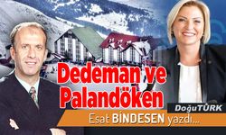 Dedeman ve Palandöken