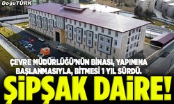 Şipşak daire!