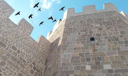 Herkes konakladı gitti onlar gitmedi; Kadim dostlar!