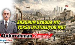 ERZURUM UYKUDA MI? YOKSA UYUTULUYOR MU?