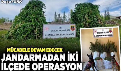 Jandarmadan iki ilçede operasyon