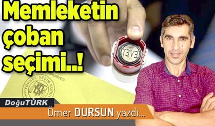 Memleketin çoban seçimi..!