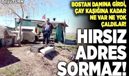 Hırsız adres sormaz!