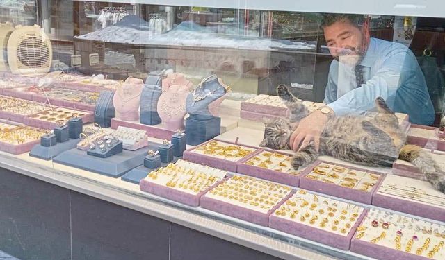 'Şanslı' yatırımını altına yapıyor!