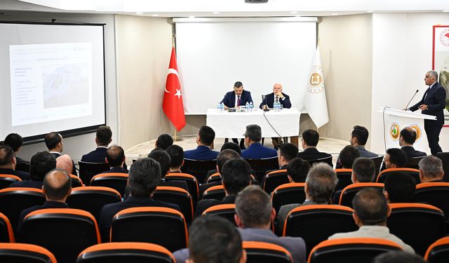 Valilikten sokak hayvanlarına yönelik yol haritası