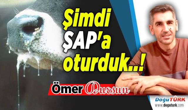 Şimdi ŞAP'a oturduk..!