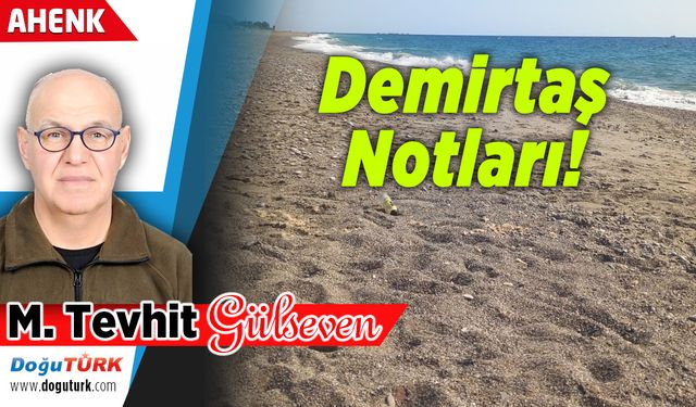Demirtaş Notları!