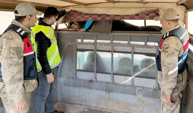 Jandarmadan düzensiz göç operasyonu