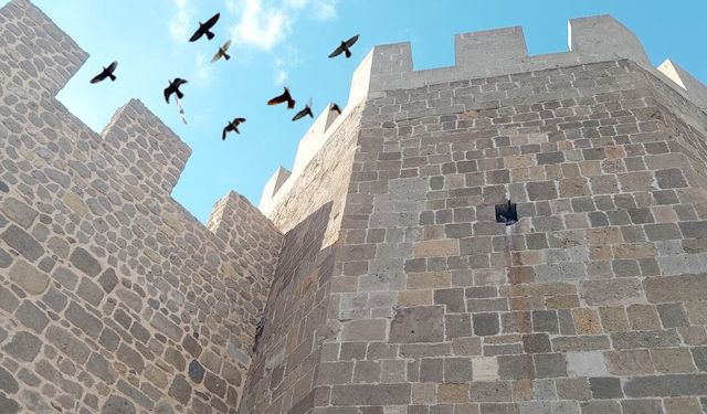 Herkes konakladı gitti onlar gitmedi; Kadim dostlar!